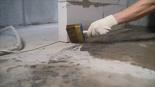 SJ Waterproofing Pros Waterproofing coverage map for Coral, MI and surrounding area